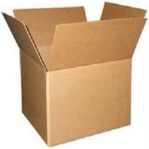 Webp.net-resizeimage (14)8